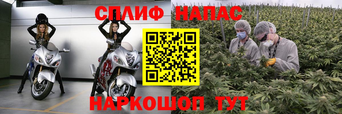 Марихуана сатива  Каннабис ГИДРОПОН  Каннабис марихуана  Хасавюрт  Бошки марихуана THC 21%  Вход с VPN 